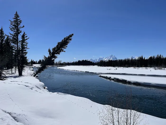Snake River Picture 6