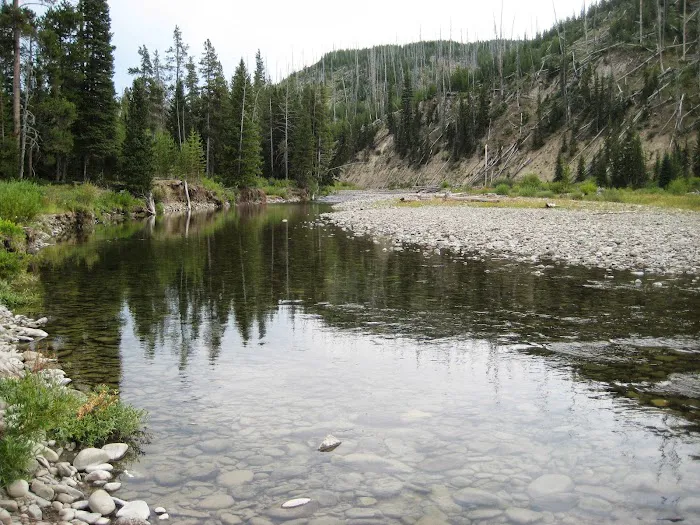 Snake River Picture 7