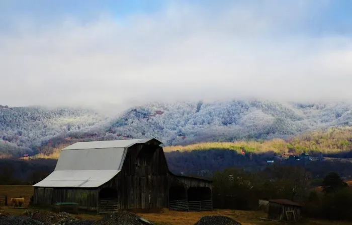 Honeysuckle Meadows RV Park Picture 7