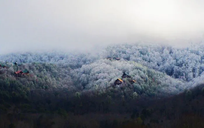 Honeysuckle Meadows RV Park Picture 5