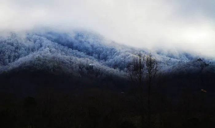 Honeysuckle Meadows RV Park Picture 9