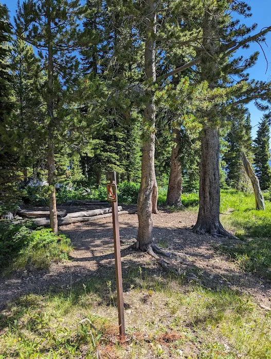 Sheridan Creek (8H2) Picture 10