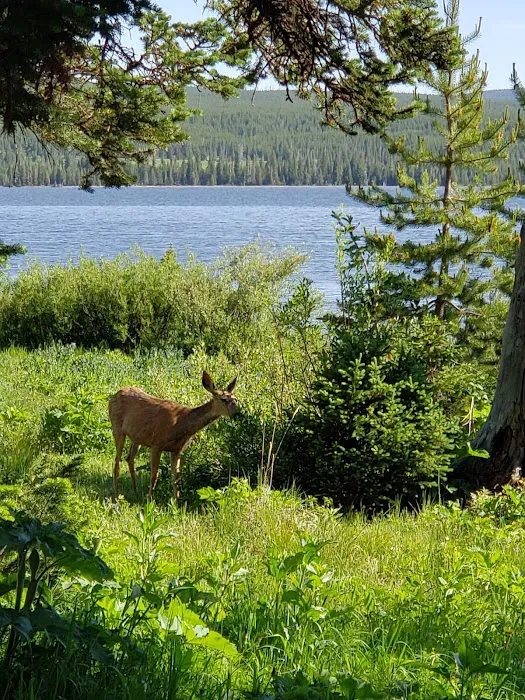 Hideaway 8H3 Picture 3