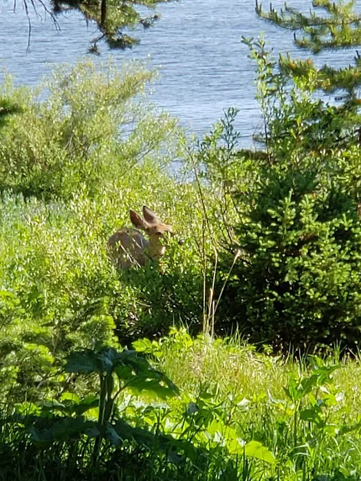 Hideaway 8H3 Picture 5