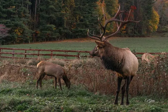 Creekwood Farm RV Park Picture 9