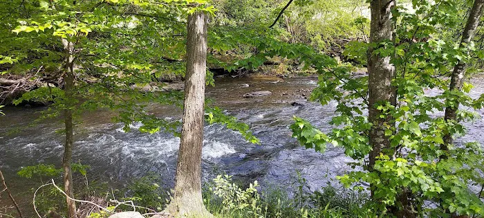 Tiny Homes at Jonathan Creek, LLC Picture 3