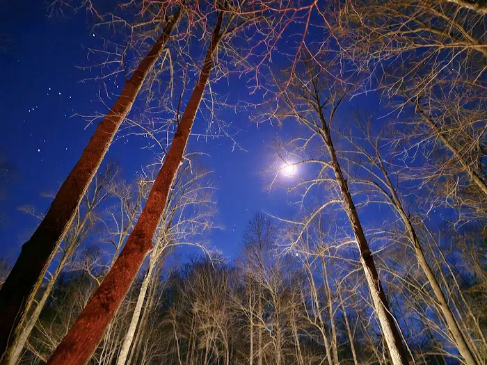 Bryson City RV Picture 9