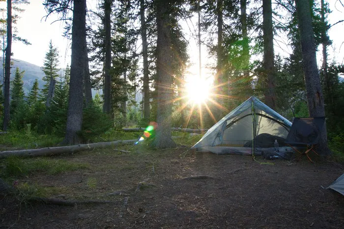 Rustic 8H6 Picture 1