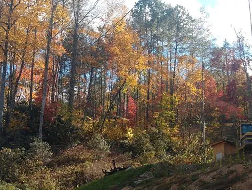 Nantahala RV Resort & Campground Picture 4