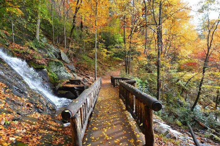 Nantahala RV Resort & Campground Picture 6