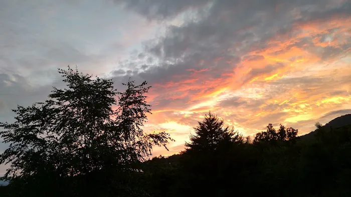 Wildlife Properties, LLC Picture 6