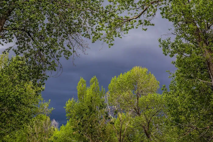 Twin Bridges Campground Picture 5