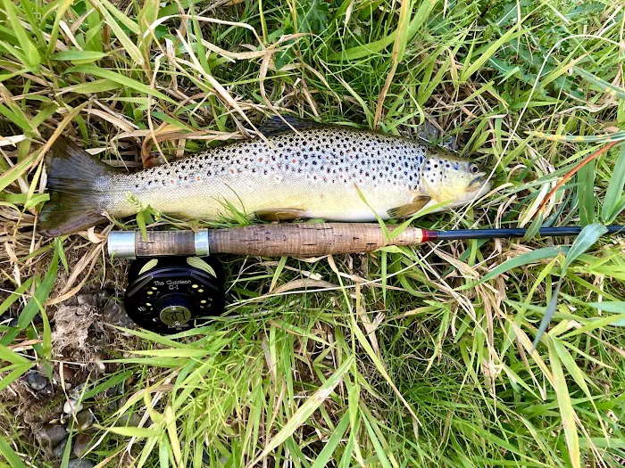 Twin Bridges Campground Picture 9