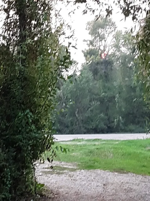 Twin Bridges Campground Picture 8