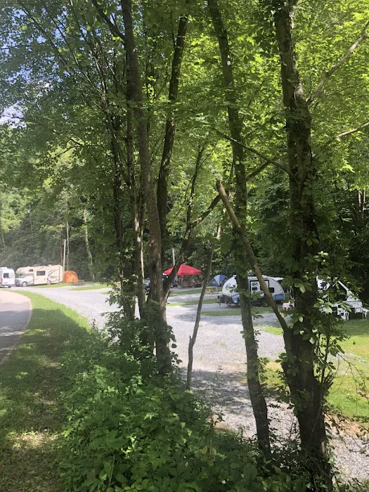 Nantahala Tiny Homes and RV Park Picture 9