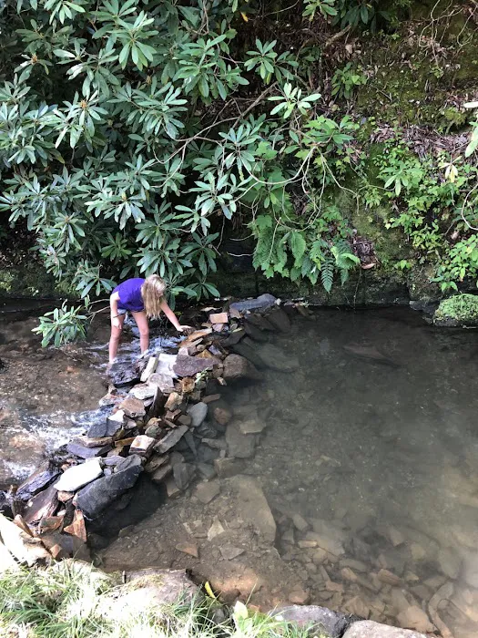 Nantahala Tiny Homes and RV Park Picture 8