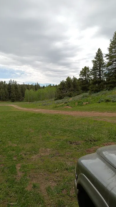 Luthy Meadow Camp Site Picture 1