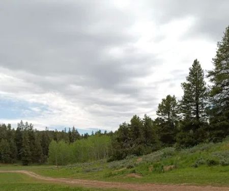 Luthy Meadow Camp Site