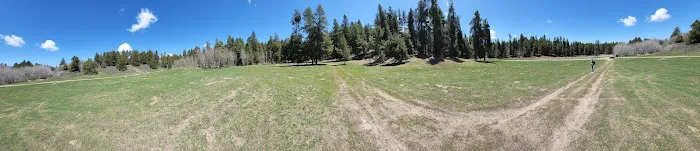 Luthy Meadow Camp Site Picture 7