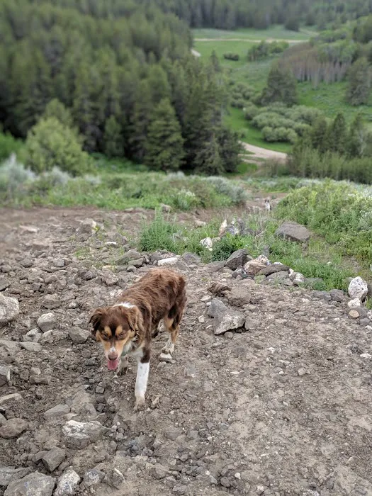 Luthy Meadow Camp Site Picture 5