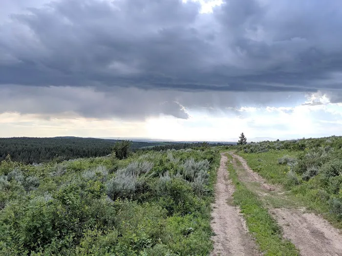 Luthy Meadow Camp Site Picture 3