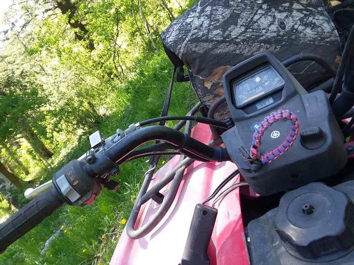 Luthy Meadow Camp Site Picture 6