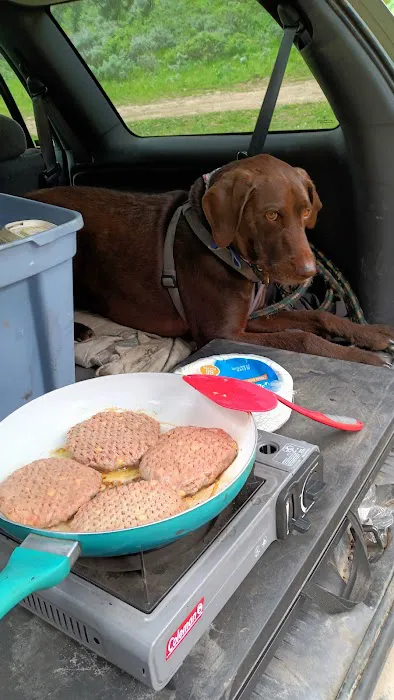 Luthy Meadow Camp Site Picture 4