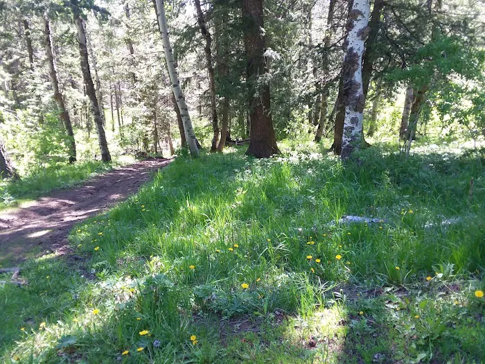 Luthy Meadow Camp Site Picture 9