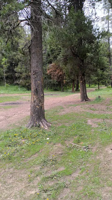 Luthy Meadow Camp Site Picture 10