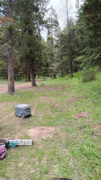 Luthy Meadow Camp Site Picture 8