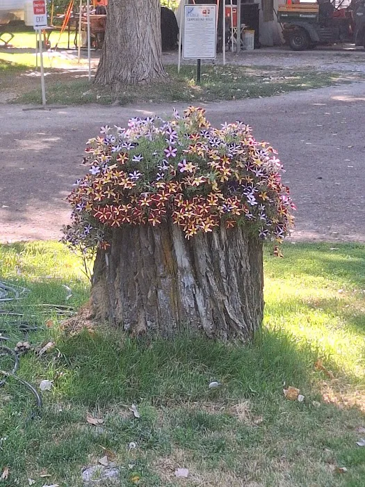 Heise RV Park Picture 2