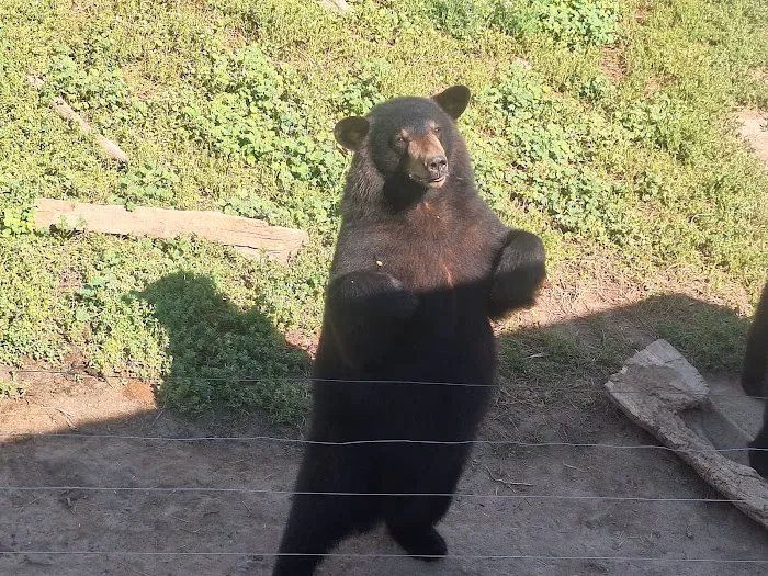 Heise RV Park Picture 6