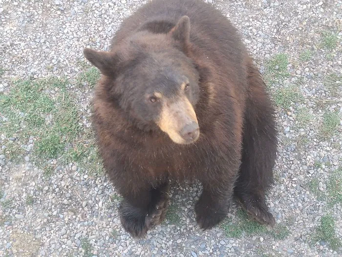 Heise RV Park Picture 9