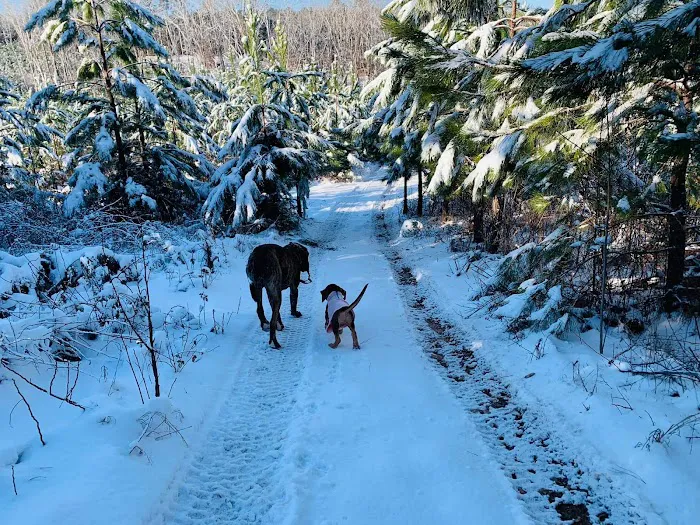 Clemson Hills RV Club Picture 6