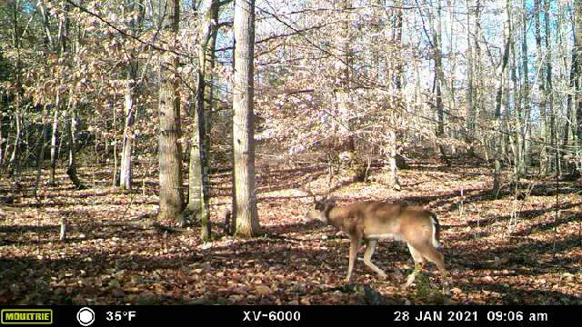 Clemson Hills RV Club Picture 10