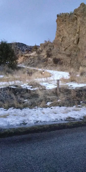 Little Rock Campground Picture 5