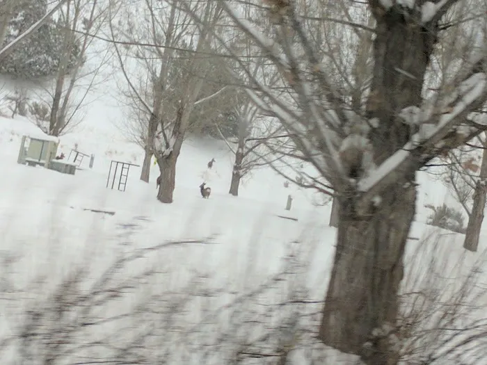 Little Rock Campground Picture 10