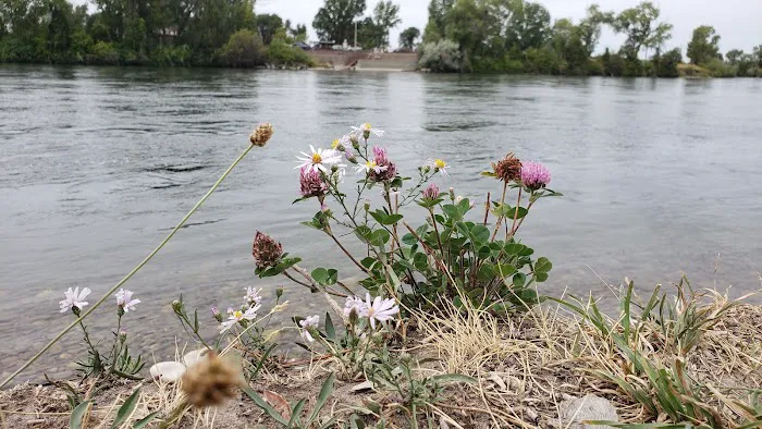 Kelly Island Campground Picture 4