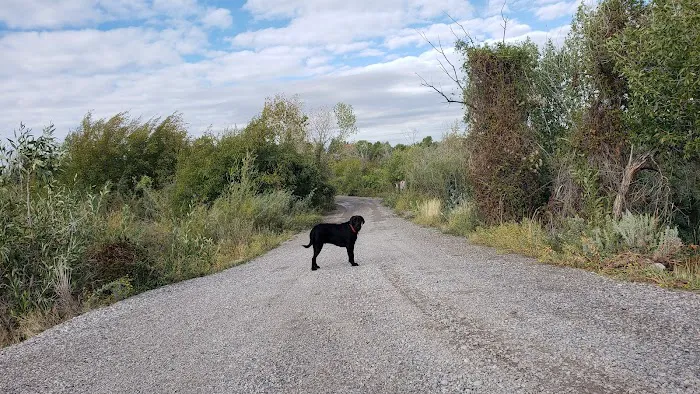 Kelly Island Campground Picture 8