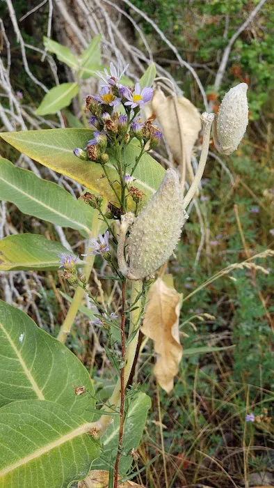 Kelly Island Campground Picture 10