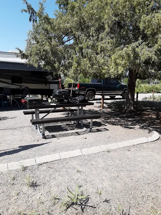 Kelly Island Campground Picture 9