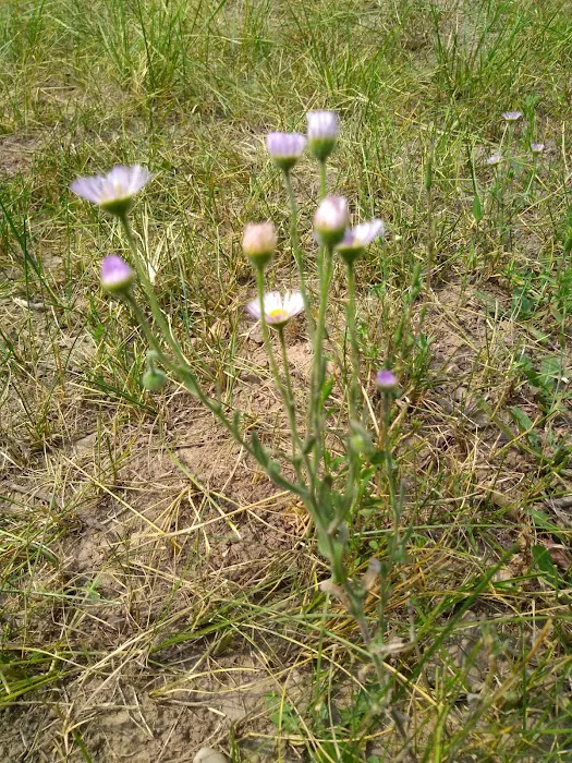 Table Rock Campground Picture 4