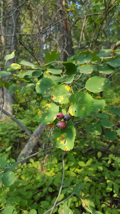 Table Rock Campground Picture 6