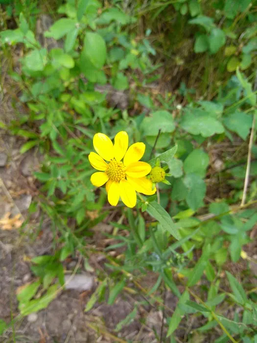 Table Rock Campground Picture 5