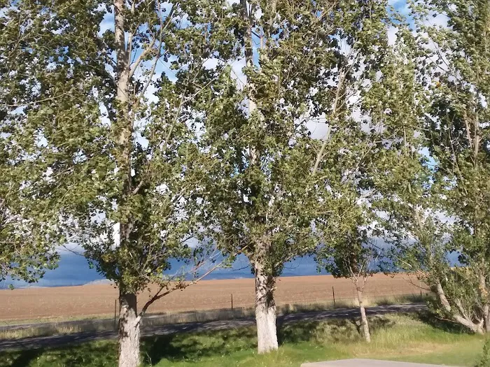 Juniper Campground Picture 10