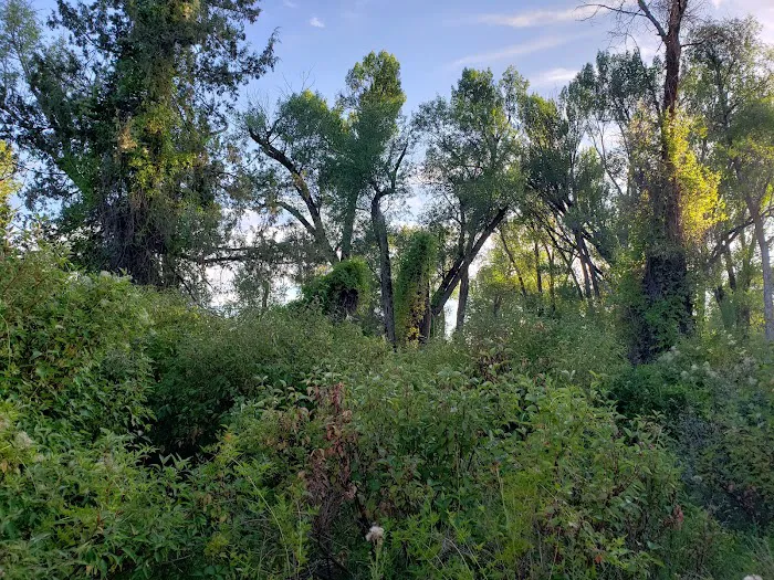 Wolf Flats Recreation Area Picture 5