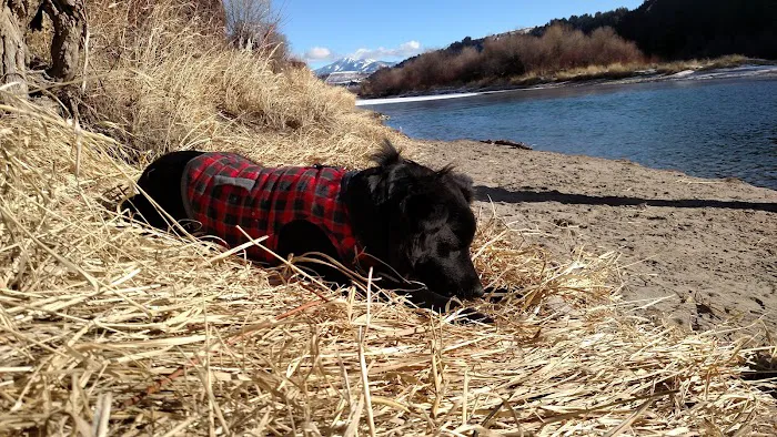 Wolf Flats Recreation Area Picture 4