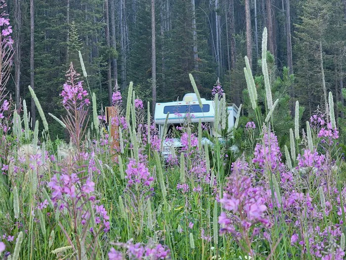 Mike Harris Campground Picture 6