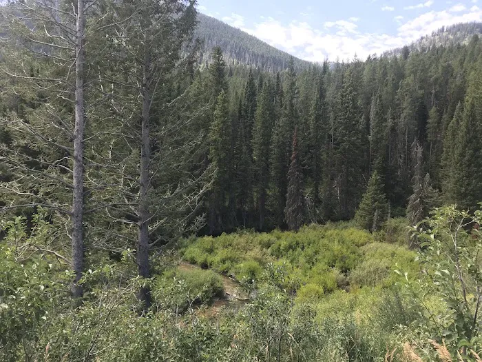 Mike Harris Campground Picture 4