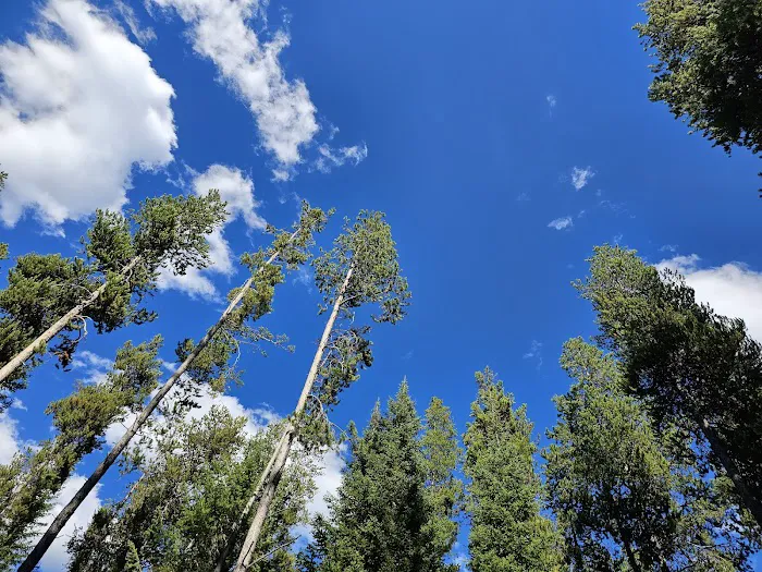 Mike Harris Campground Picture 8